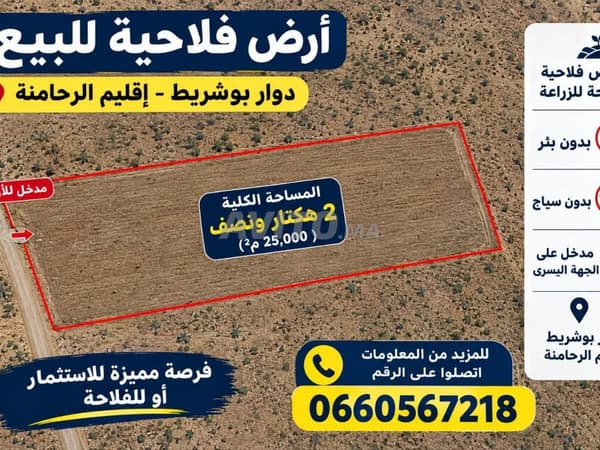 Agricultural Land for Sale in Bouchane – Area 2.5 hectares
