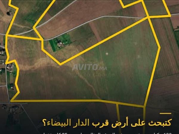 Terrain 100 hectares titré à vendre - 50 millions par hectare
