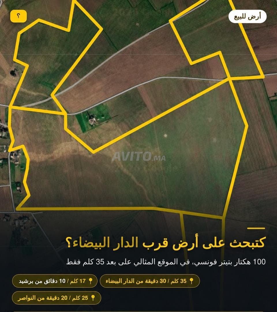 Terrain 100 hectares titré à vendre - 50 millions par hectare