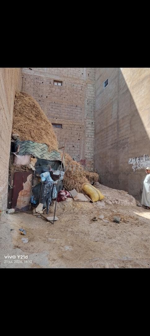 Village Tayeb