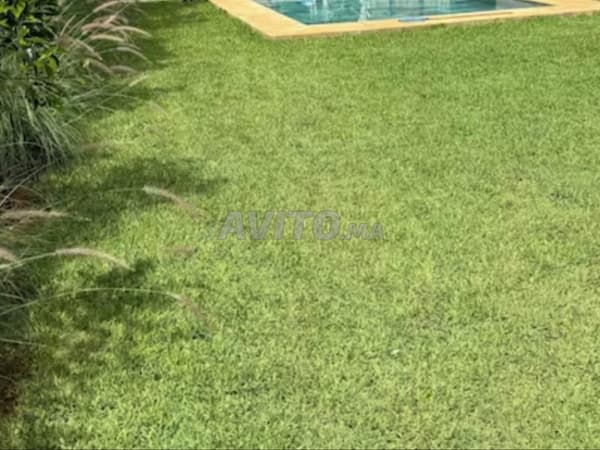 Villa de plain-pied zu einem attraktiven Preis