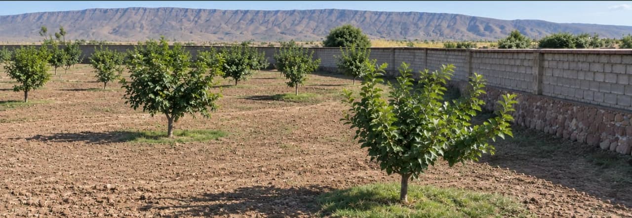 Grundstück für Villa, 5665 m², zu verkaufen in Marrakesch Route De L'Ourika - Douar Bouazza