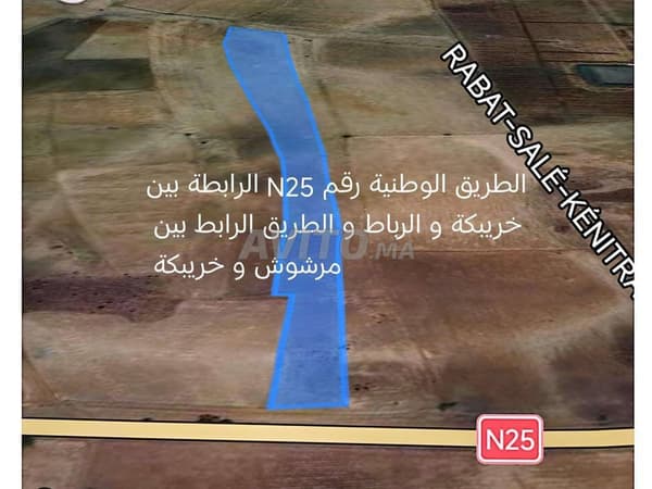 أرض زراعية واستثمارية للبيع