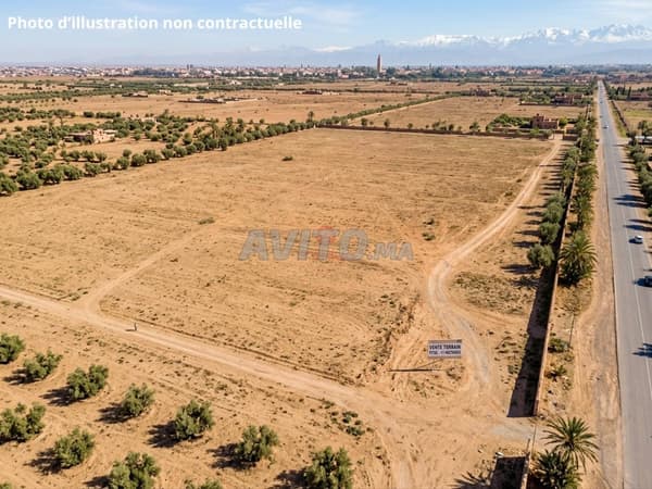 Vente Terrain nu à Marrakech