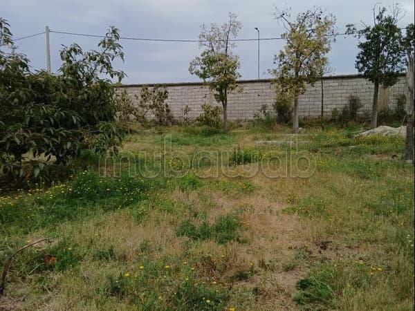 Beau terrain à la vente à Skikina. Surface totale 206 m²