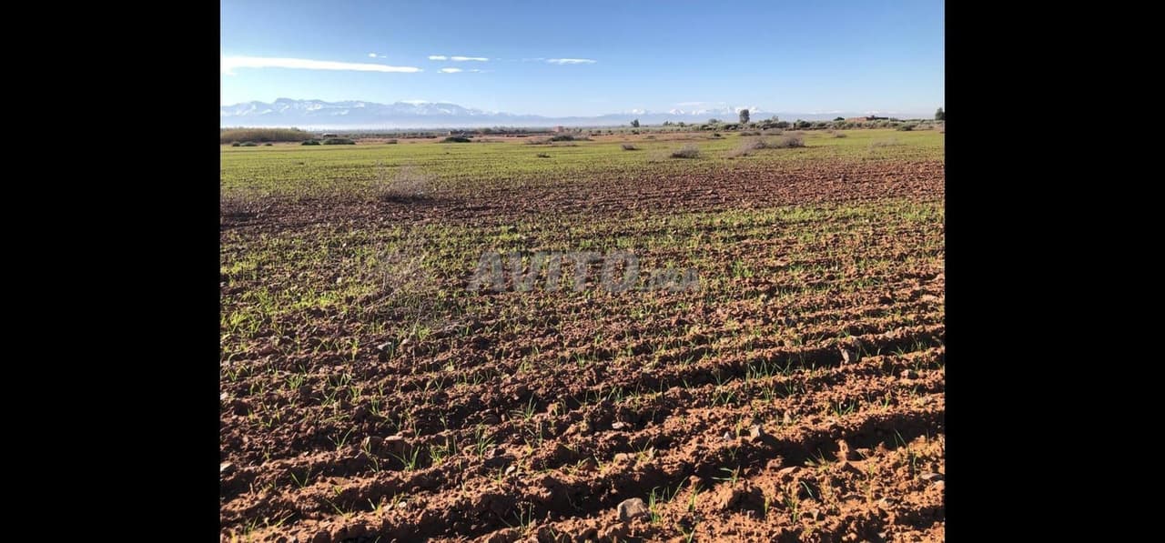 ✨ Terrein 2.14 hectare met uitzicht op de Atlas dicht bij Marrakech ✨