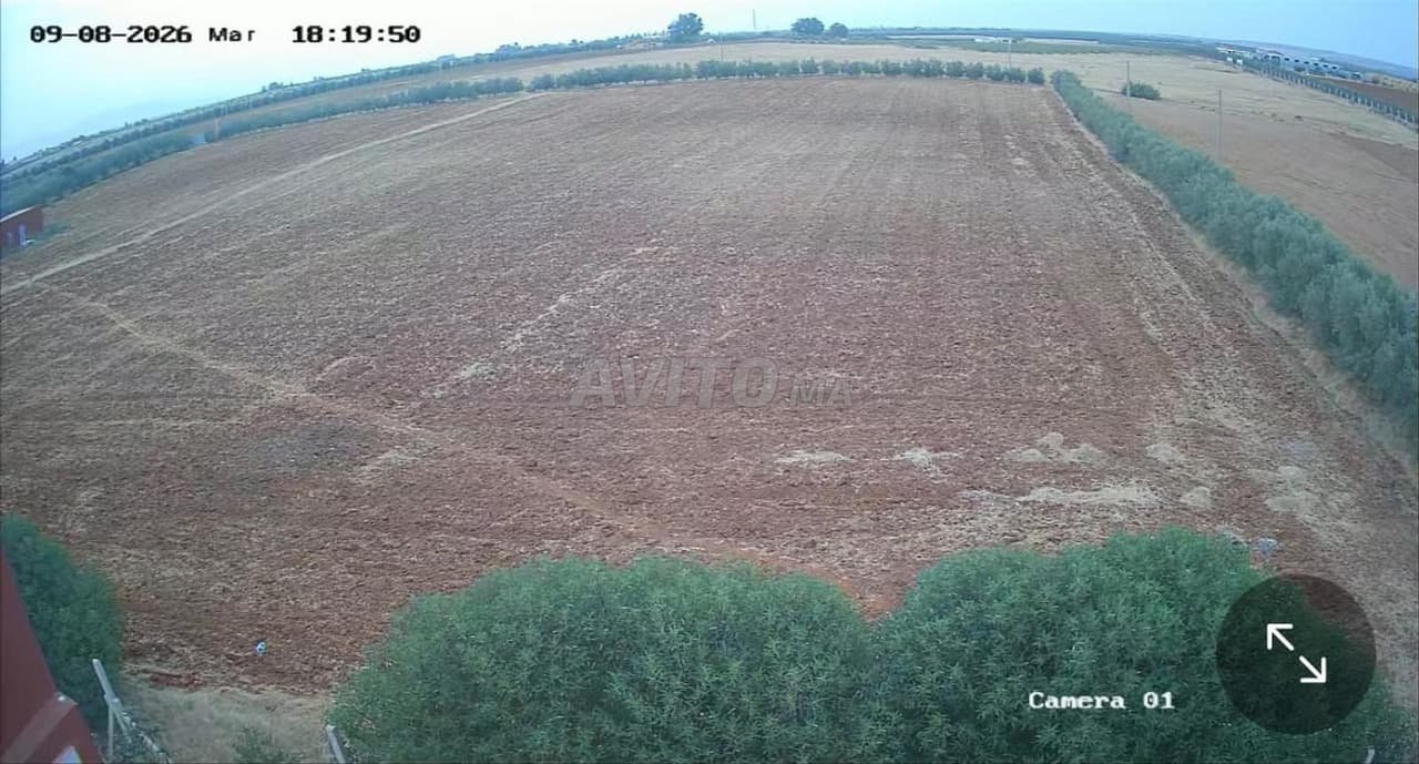5 hectare uitgeruste grond te koop in Meknès, Haj Kaddour, titre foncier