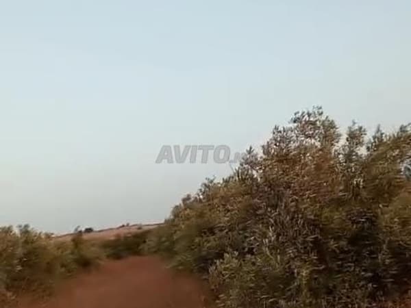 Agricultural land portfolio