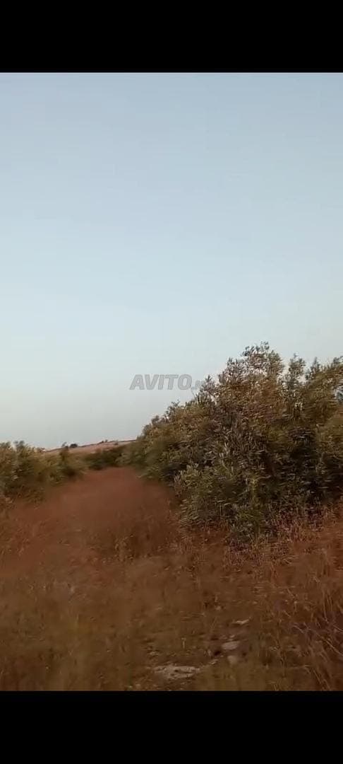 Agricultural land portfolio