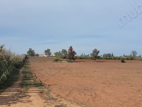 Vente Terrain nu à Skhirat