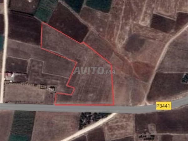 Commune Ouled Hamdan Douar Filalaha