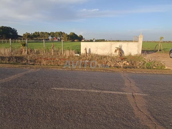 Terrain titre foncier Benslimane
