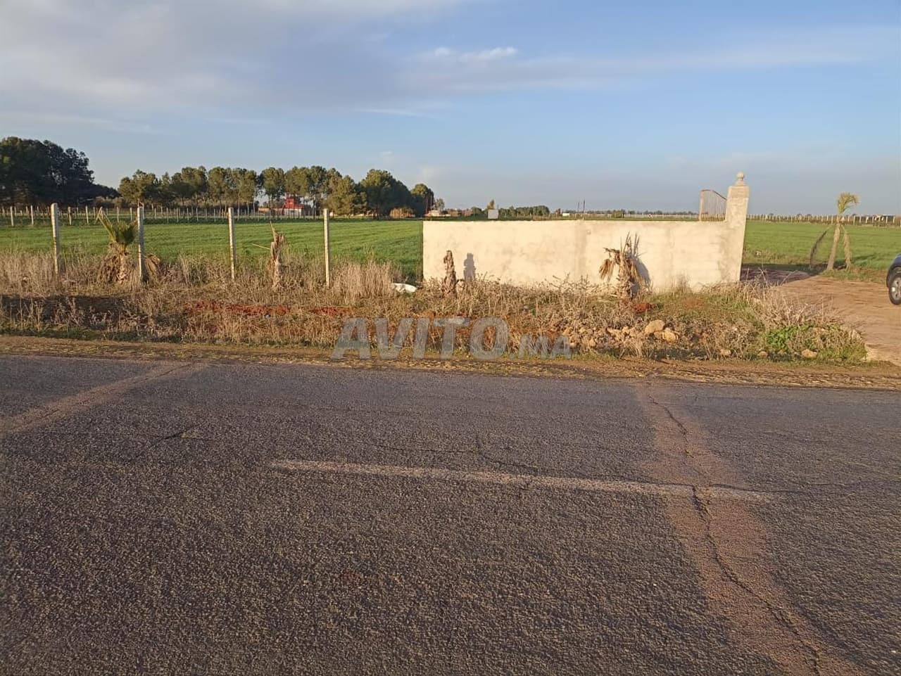 Terrain titre foncier Benslimane