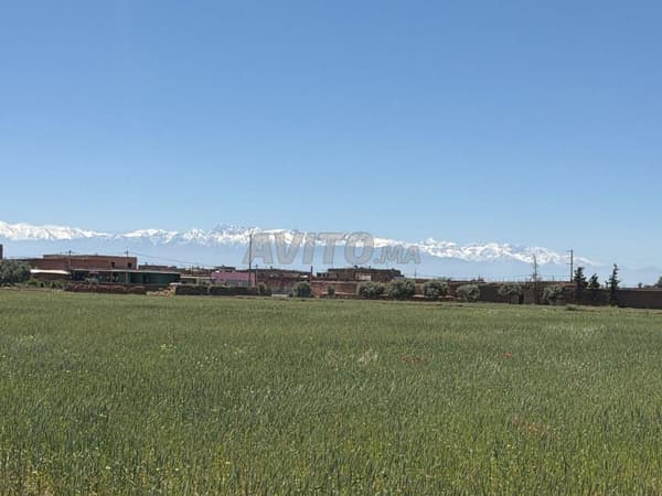 Terrain 10 200 m2 Bord de goudronnée, rte de Fès