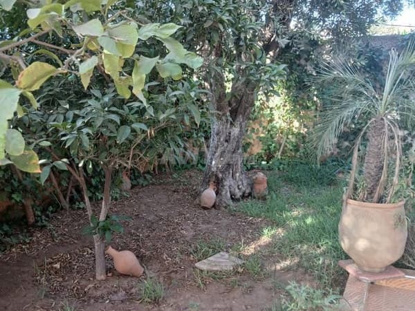Uitstekende boerderij te koop met villa en bomen