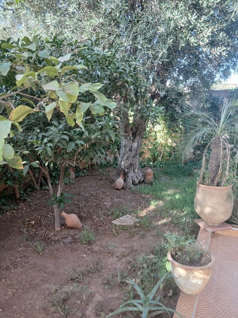 Ferme excellente à vendre avec villa et arbres