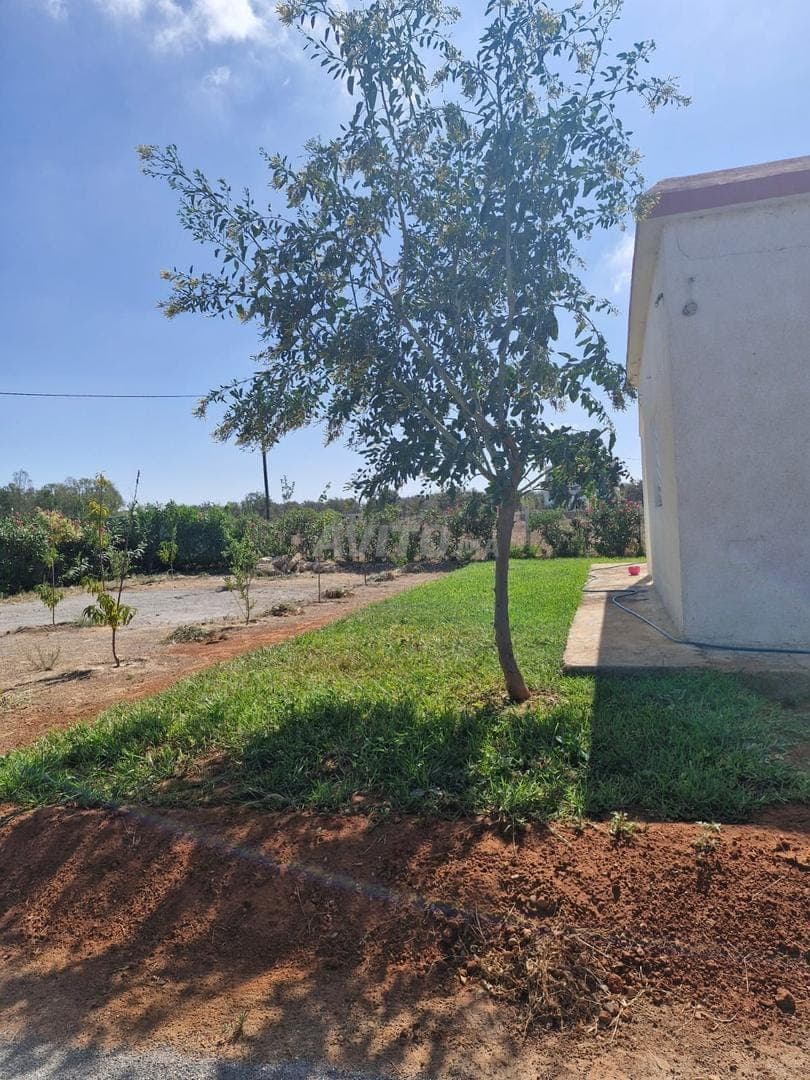 Terrain 2258 m² titré avec maison