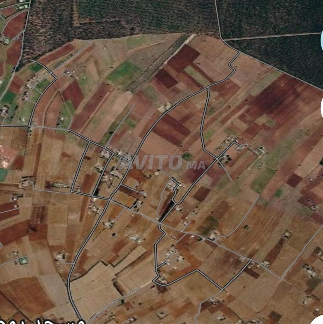 Terrain de 10000 m² à vendre région Sidi Rahal
