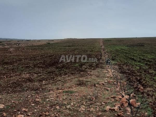 8 hectares à vendre