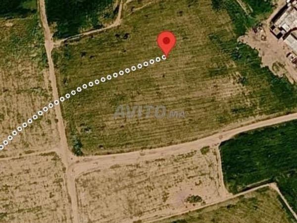Hectare te koop, geregistreerd, gemeente Beni Yakhlef, Khouribga