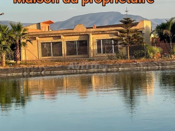 Ferme agricole de 7,4 ha près de Madagh, Berkane