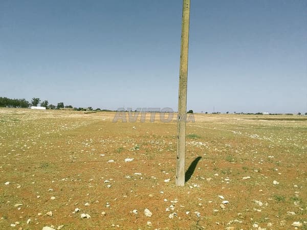 Terreno titolato di 13180 m² a Sidi Smail Doukala