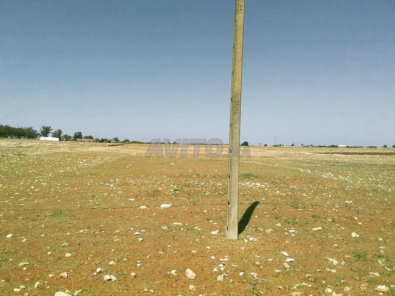 Terrain titré 13180 m² à Sidi Smail Doukala