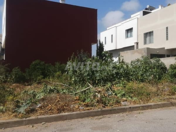 Réduction jusqu'au 31 décembre | Terrain Villa Ibn Badis