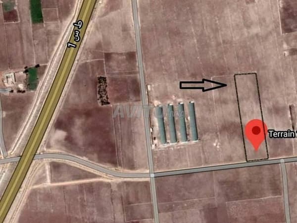 Landbouwgrond van 13120 m² in Sidi Smail Doukkala