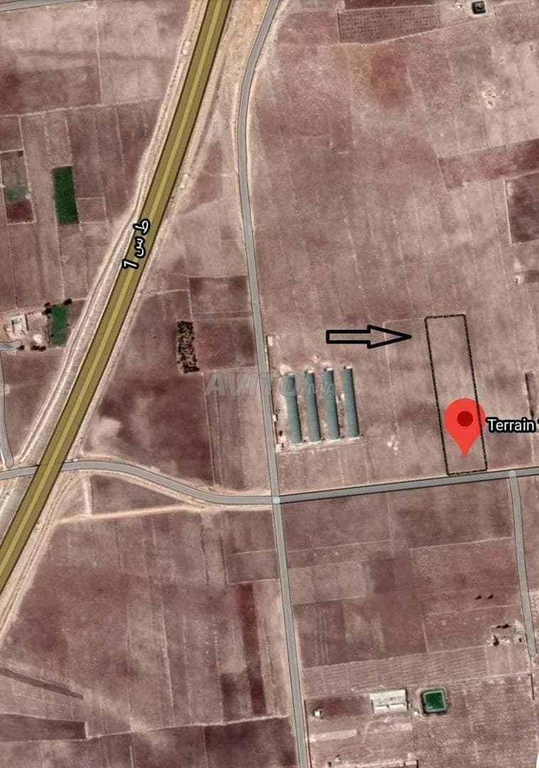 Landbouwgrond van 13120 m² in Sidi Smail Doukkala