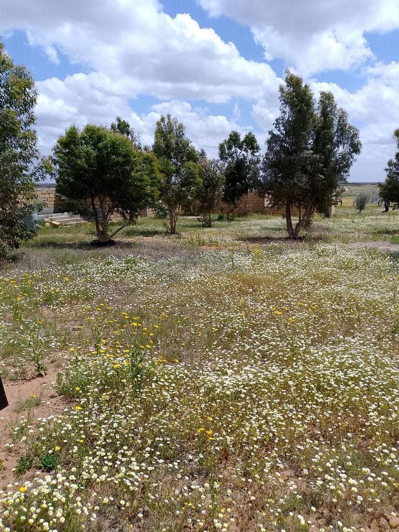 Ferme Sidi Bennour