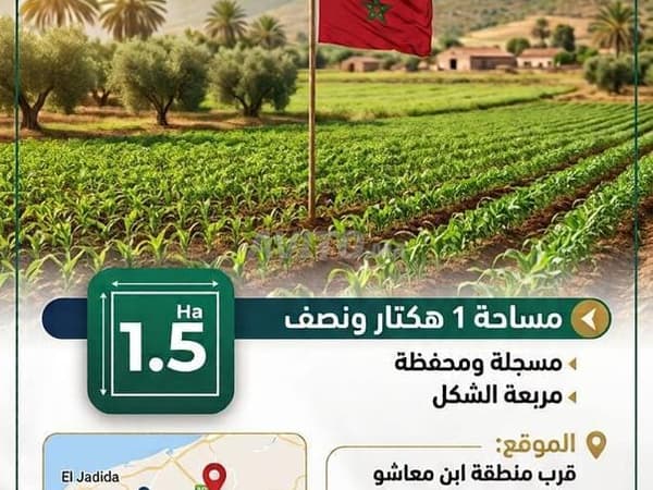 Hectare and a half near the Wadi Am Al-Rabi, 24 km from the new well