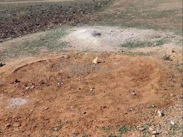 2 Plots for Sale