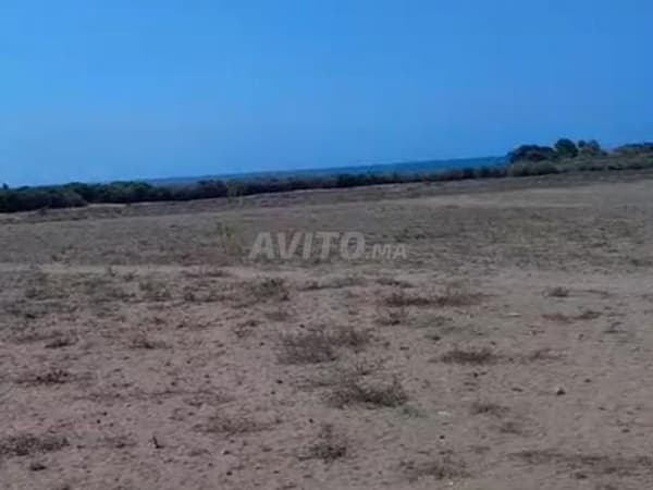 5.5 ha pied sur mer entre sidi rahal et azemmour