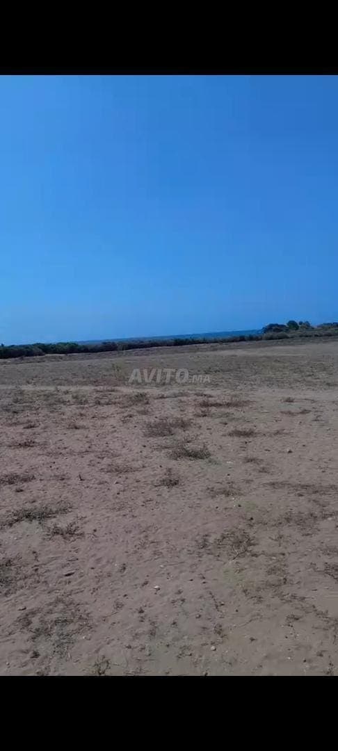 5,5 ha di terreno fronte mare tra Sidi Rahal e Azemmour
