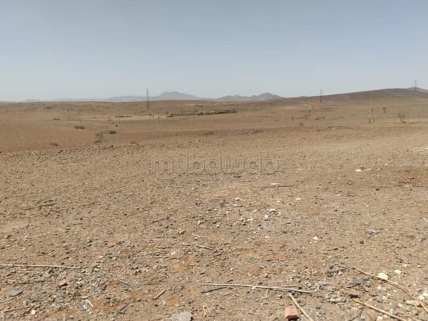 Grundstück ein Hektar mlkiya km 23 gut gelegen