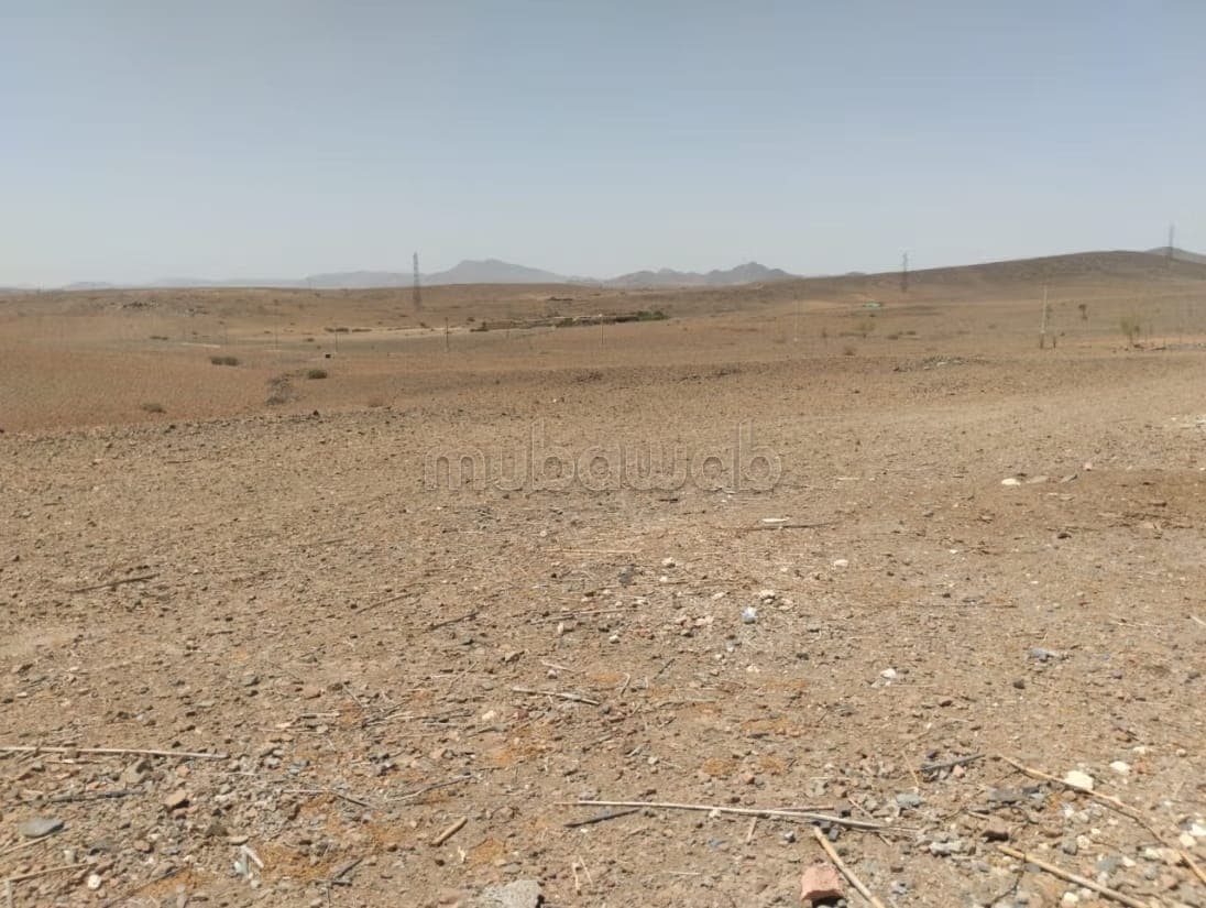 Terrain un hectare mlkiya km 23 bien situé