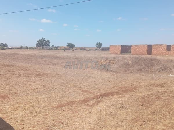 Terrain agricole à vendre dans un emplacement privilégié