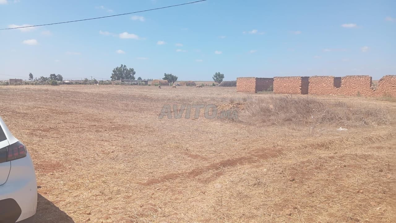 Terrain agricole à vendre dans un emplacement privilégié
