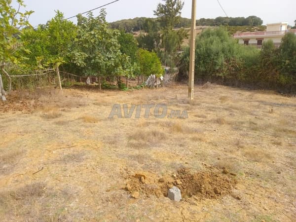 Grond te koop in Douar Tindaf Assilah