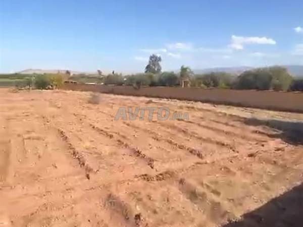 Hectare titré à vendre