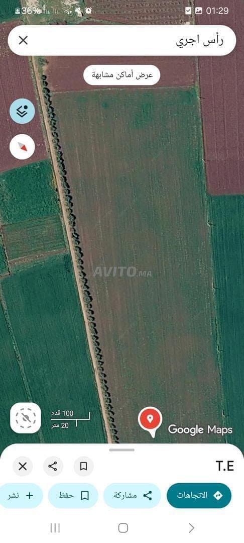 Terrain à vendre dans les environs de Khémisset