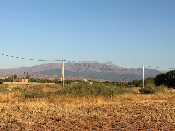 Terrain de 1HA pour Villa ou Maison D'Hotes