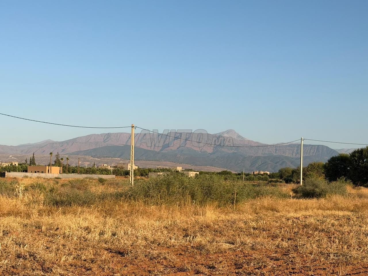 1 Hectare Land for Villa or Guest House