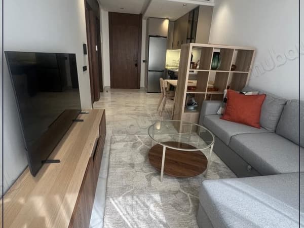 Brand New Furnished Upscale Studio
