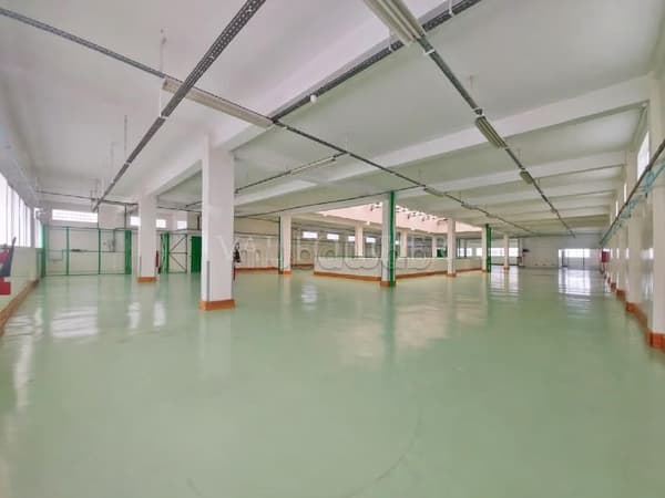 Location plateau industriel moderne 1000m2, ZI Mohamedia
