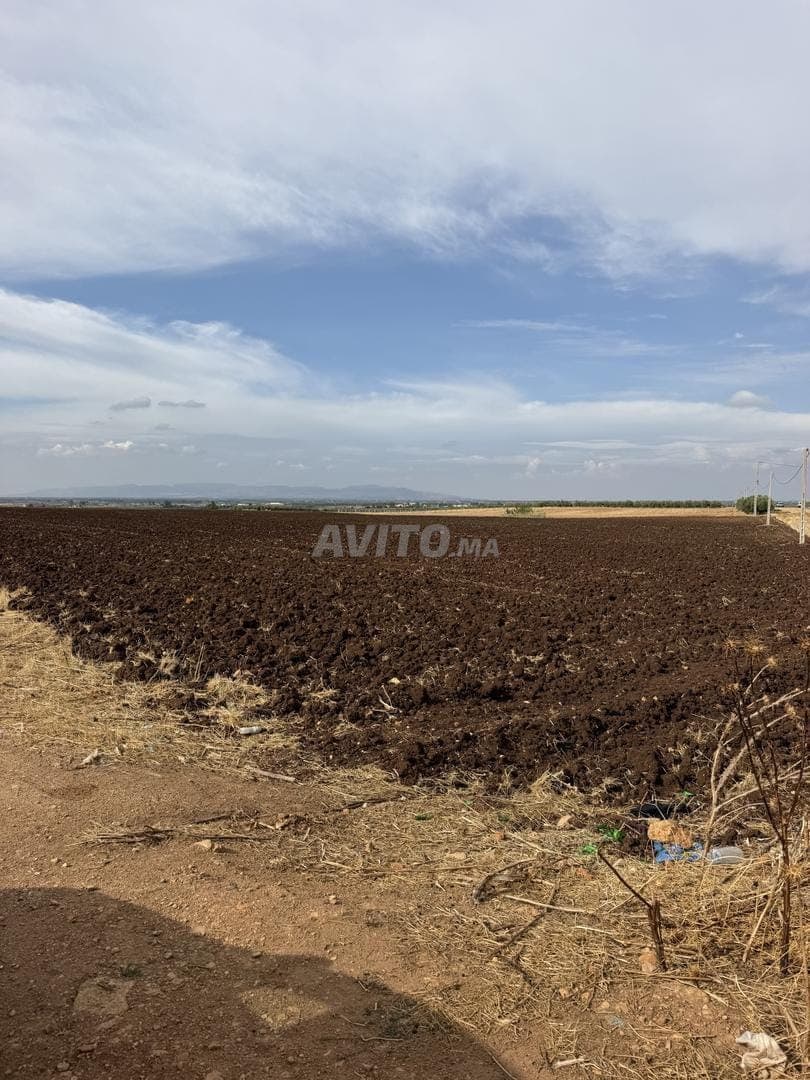 1.5 hectare for sale