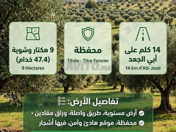 Terrain agricole 47.4 khadams titré Bejaad 160M
