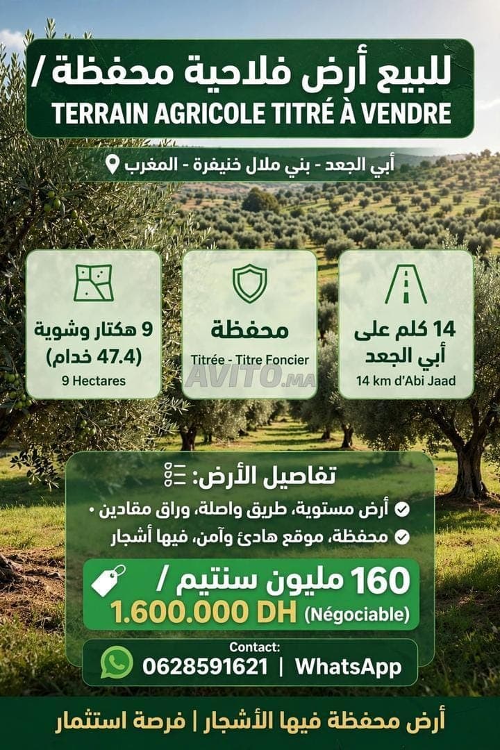 Terrain agricole 47.4 khadams titré Bejaad 160M