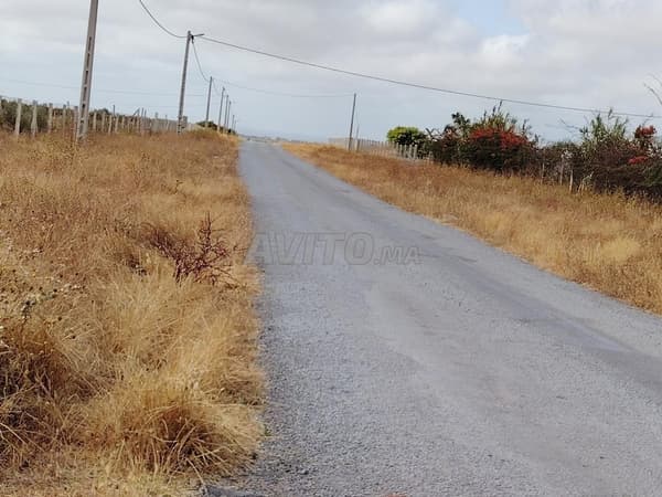 2.15 ha titré sur la route à BSABAS